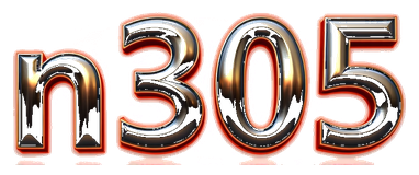 n305 logo